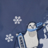 Σκουφάκι για αγόρι σε μπλε χρώμα, με πιγκουίνους TUTU 100147 4