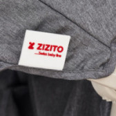 Καρότσι της Zizito, ελβετικής κατασκευής και σχεδιασμού, σε γκρι χρώμα ZIZITO 100503 5