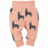 Βαμβακερό παντελόνι με φαρδιά ελαστική μέση για μωρά Pinokio 102871 