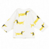 Βαμβακερό μπουφάν για μωρά σε λευκό Pinokio 103521 2