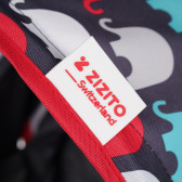 Zizito Baby Stroller - Συμπαγές, εύκολο να διπλωθεί με κάλυμμα ποδιών, κόκκινο ZIZITO 112133 9