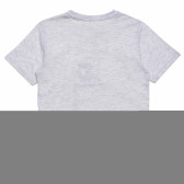 Βαμβακερό μπλουζάκι για αγόρι με διασκεδαστική στάμπα, γκρι Acar 114410 4