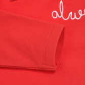 Φούτερ με κουκούλα με επιγραφή για κορίτσια, κόκκινο Name it 150129 3