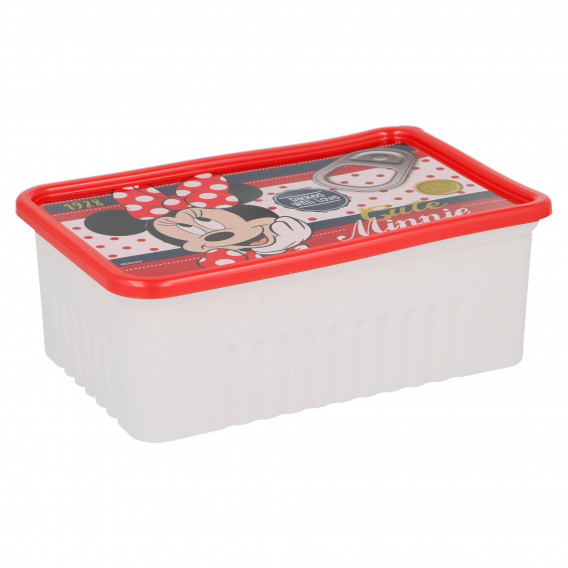 Κουτί φαγητού για κάθε μέρα Minnie Mouse, 10 x 15,8 εκ. Minnie Mouse 153124 