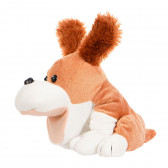 Βελούδινη μαριονέτα, σκύλος - Raffi, 21 cm Amek toys 153485 3