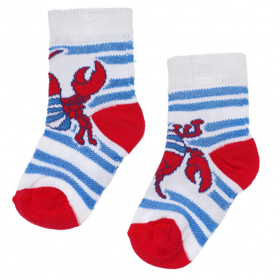 Κάλτσες για αγόρια πολύχρωμα Chicco 165500 
