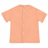 Βαμβακερή μπλούζα για αγόρια, πορτοκαλί Idexe 167802 4