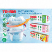 Φυσική οδοντόπαστα eco, 75 ml Tri-Bio 172285 4