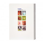 Notebook Attention γατάκι, A 4, 80 φύλλα, μεγάλες σειρές, πολύχρωμα Gipta 175167 4