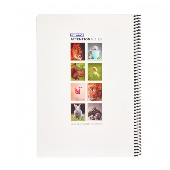 Notebook Attention γατάκι, A 4, 80 φύλλα, μεγάλες σειρές, πολύχρωμα Gipta 175167 4