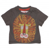 Βαμβακερή μπλούζα με τύπωμα λιονταριού για αγόρια Boboli 175901 