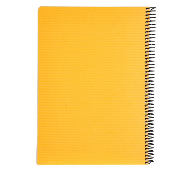 Σημειωματάριο LW, A4, 100 φύλλα, ριγέ, πορτοκαλί Gipta 177525 2