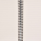 Σημειωματάριο LW, A4, 100 φύλλα, ριγέ, πορτοκαλί Gipta 177527 4