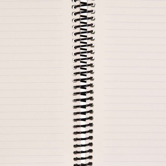 Σημειωματάριο LW, A4, 100 φύλλα, ριγέ, πορτοκαλί Gipta 177527 4