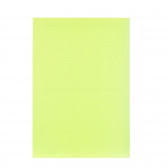 Σημειωματάριο LW, A4 60 φύλλα, ριγέ, πράσινο Gipta 177541 2