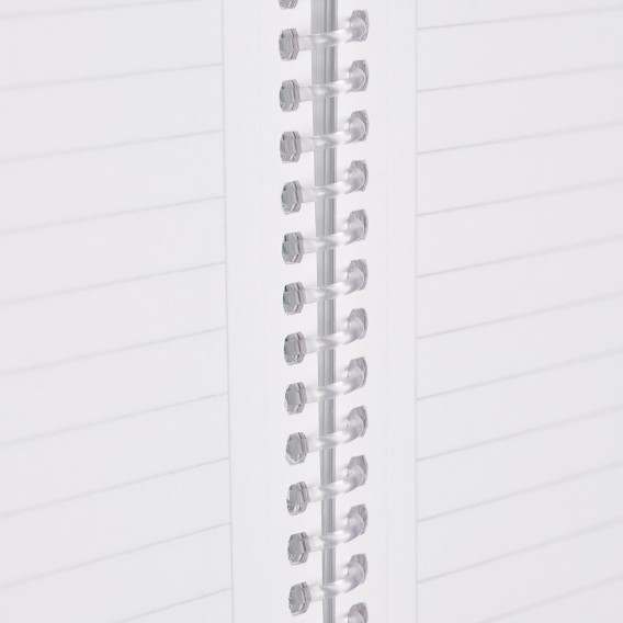 Σημειωματάριο U-BOOK, A5, 60 φύλλα, ριγέ, πράσινο Gipta 177631 4