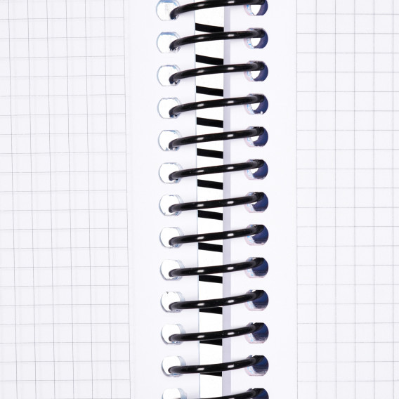 Σημειωματάριο MONO 5 + 1 με λάστιχο, A4, 110 φύλλα, τετραγωνάκια/ριγέ, κίτρινο Gipta 177652 5