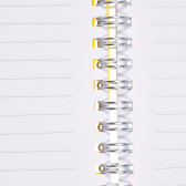 Σημειωματάριο CHROMO, A6, 80 φύλλα, ριγέ, πορτοκαλί Gipta 177684 3
