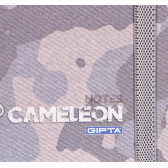 Σημειωματάριο Cameleon με λάστιχο, 13 x 21cm, 120 φύλλα, ριγέ, γκρι Gipta 177691 2