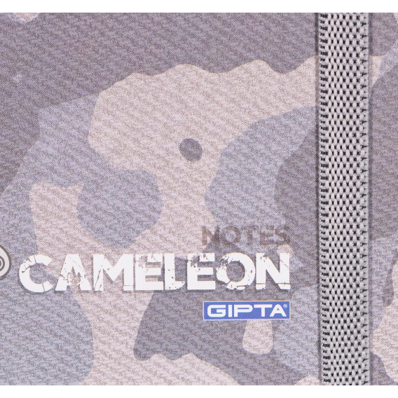 Σημειωματάριο Cameleon με λάστιχο, 13 x 21cm, 120 φύλλα, ριγέ, γκρι Gipta 177691 2