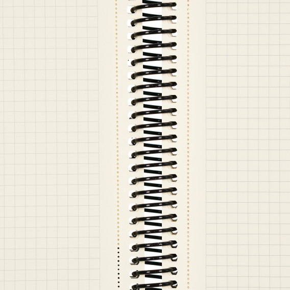 Σημειωματάριο MOTIVE με λάστιχο, 19 x 26 cm, 120 φύλλα, μικρά τετραγωνάκια, μωβ Gipta 177845 4