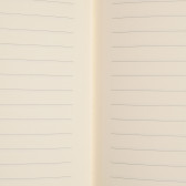 Σημειωματάριο MARGIN με κουκκίδες, 17 x 24 cm, 96 φύλλα, ριγέ, μαύρο Gipta 178024 4