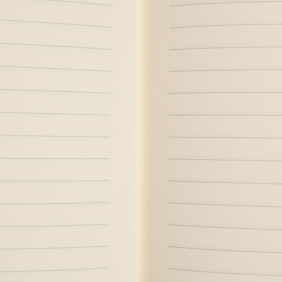 Σημειωματάριο MARGIN, 17 x 24 cm, 96 φύλλα, ριγέ, λευκό Gipta 178027 3