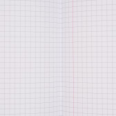 Σημειωματάριο NOTE MARK №6, A4, 40 φύλλα, μικρά τετραγωνάκια, πολύχρωμο Gipta 178104 4