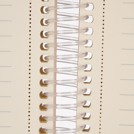 Σημειωματάριο Major Notes με λάστιχο, 19 x 26 cm, 120 φύλλα, ριγέ, μωβ Gipta 178224 4