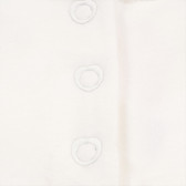 Βαμβακερό, μακρυμάνικο φορμάκι με τυπωμένα σχέδια και γιακά, για κορίτσι Chicco 179232 3