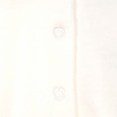 Βελούδινο φορμάκι με σχέδιο κουκκίδες και βολάν Chicco 180345 7