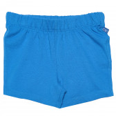 Βαμβακερό παντελόνι σε μπλε χρώμα, για αγοράκια Chicco 181044 
