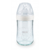 Nature Sense γυάλινη φιάλη  με πιπίλα μέσης ροής για ηλικία 0-6 μηνών, 240 ml. NUK 181532 
