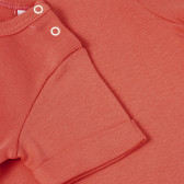 Βρεφικό, βαμβακερό μπλουζάκι για κορίτσι με στρίφωμα στα μανίκια και τυπωμένο σχέδιο, σε κοραλλί χρώμα PIPPO&PEPPA 185950 4