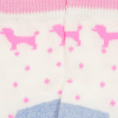 Πολύχρωμες κάλτσες με σχέδια σκυλάκια και βούλες, για αγόρι  YO! 186586 2