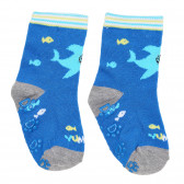 Πολύχρωμες, βρεφικές κάλτσες με σχέδιο βυθό και ψάρια, για αγόρι YO! 186778 3