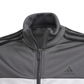Γκρι αθλητικό σετ Adidas, με μαύρες ρίγες, για αγόρια Adidas 187907 8