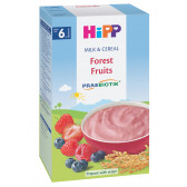 BIO κρέμα γάλακτος φρούτα του δάσους 250 γρ Hipp 19624 