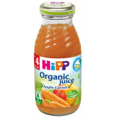 Βιολογικός χυμός μήλου και καρότου, 3-5 μηνών, γυάλινη φιάλη 200 ml. Hipp 19637 