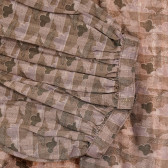 Καφέ, βαμβακερή, μακρυμάνικη μπλούζα για εγκύους Berenice 201201 3