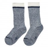 Κάλτσες για αγόρια Z Generation 204063 