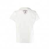 Βαμβακερό  T-shirt για αγόρι, σε λευκό χρώμα με τυπωμένο σχέδιο ταύρο και επιγραφή Lamborghini 20854 2