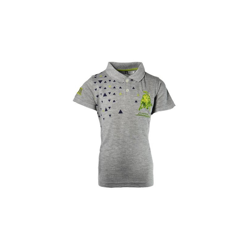 Μπλουζάκι πόλο για αγόρι, σε γκρι χρώμα, με κεντημένο έμβλημα της μάρκας  20883