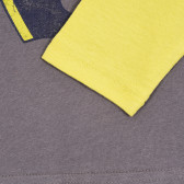 Βαμβακερή βρεφική μπλούζα με μακριά μανίκια για αγόρια, γκρι με κίτρινα μανίκια Chicco 219686 3