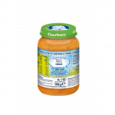 Nestle Gerber Πουρές καρότου και Κολοκυθόσουπα με φαγόπυρο, 6+ μηνών, βάζο 190 g. Gerber 219925 6