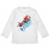 Βαμβακερή μπλούζα με τύπωμα Spiderman, λευκό Benetton 221363 