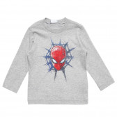 Βαμβακερή μπλούζα με τύπωμα Spiderman, γκρι Benetton 221371 