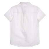 Βαμβακερό πουκάμισο με κοντά μανίκια, λευκό χρώμα Benetton 221901 3