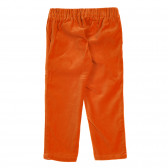 Βαμβακερό παντελόνι με ελαστική μέση, πορτοκαλί Benetton 221983 3