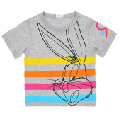 Βαμβακερό μπλουζάκι με χρωματιστό άκρο για ένα μωρό, γκρι Benetton 224664 